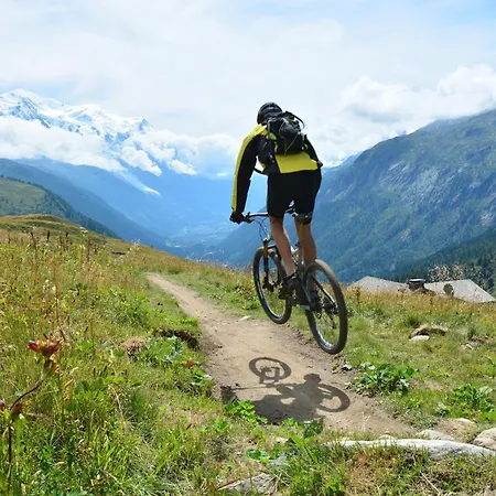 Domek alpejski Petit Chalet Des Moussoux In Chamonix | Mont Blanc View & Garden - Happy Rentals
